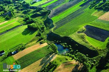 Szlak niebieski: Pińczów-Busko-Wiślica