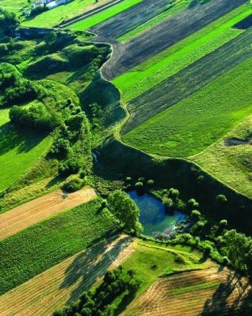 Szlak niebieski: Pińczów-Busko-Wiślica