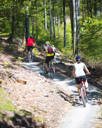 Trasy rowerowe SINGLETRACK GLACENSIS