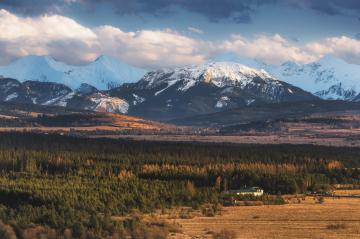 Torfowisko Baligówka