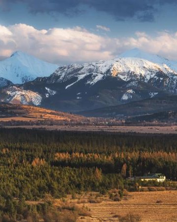 Torfowisko Baligówka