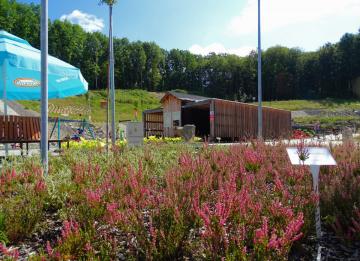 Tężnia solankowa Latoszyn Zdrój