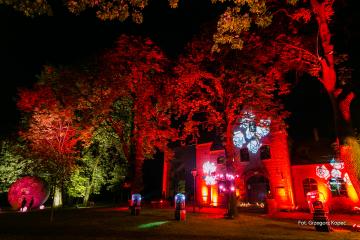 Goczałkowicki Festiwal Róż