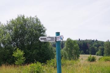 Szlak turystyczny Do Lasu Grabińskiego i kościoła w Iwoniczu