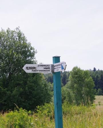 Szlak turystyczny Do Lasu Grabińskiego i kościoła w Iwoniczu