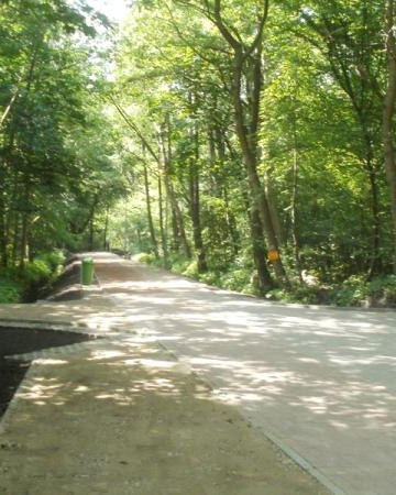 Ścieżka rowerowa