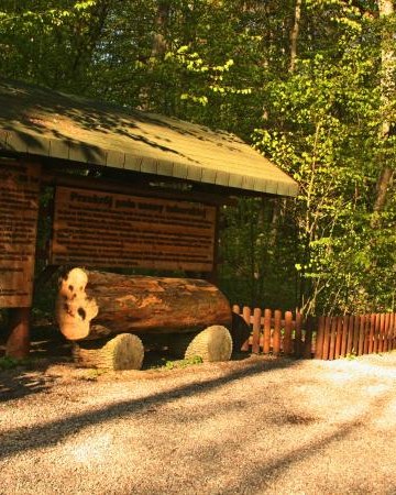 Ścieżka dydaktyczna w Rezerwacie Sosny Taborskiej