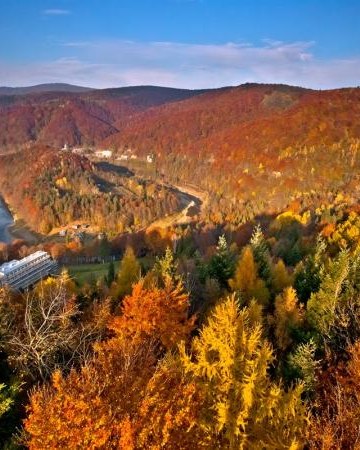 ŁOPATA POLSKA-ścieżka ornitologiczna