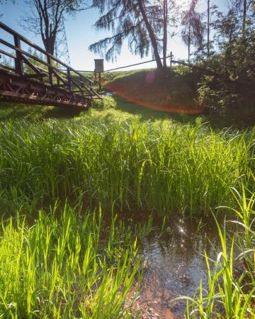 Największa w Polsce mofeta (pomnik przyrody)