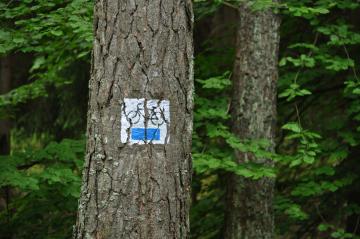 Szlak rowerowy „Pradolina Dębnicy”- niebieski