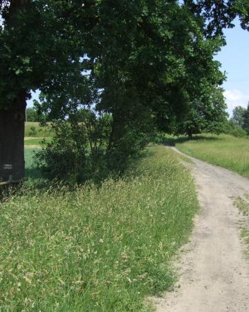 Szlak pieszy „Wokół Połczyna-Zdroju”- żółty