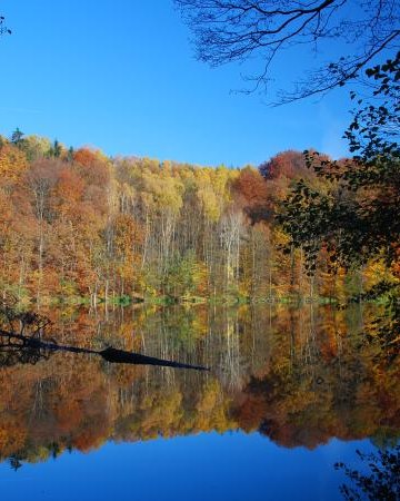 Dolina Pięciu Jezior