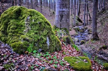 Wilcze Jary i Dolina Górnej Wogry