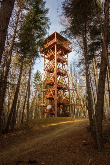 Wieża Widokowa Wapienne