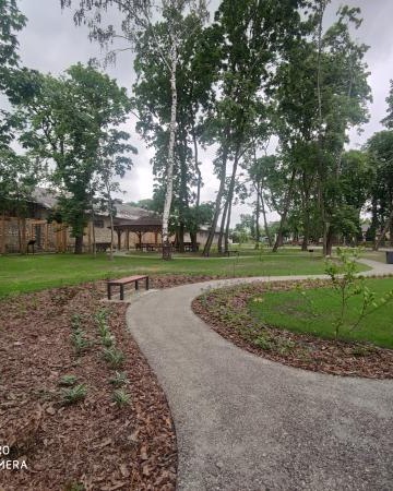 Zabytkowy park w Zborowie