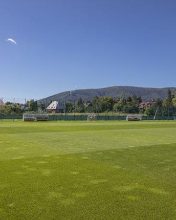 Boisko piłkarskie z nawierzchnią naturalną